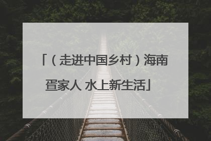 （走进中国乡村）海南疍家人 水上新生活