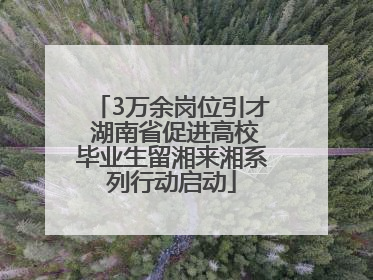 3万余岗位引才 湖南省促进高校毕业生留湘来湘系列行动启动