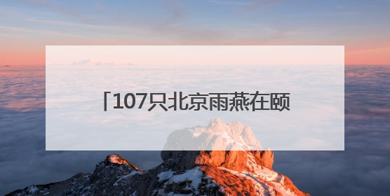 107只北京雨燕在颐和园完成年度“体检”