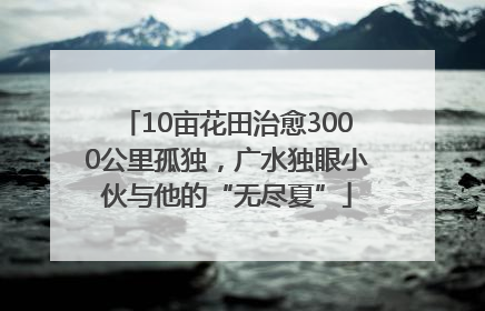 10亩花田治愈3000公里孤独，广水独眼小伙与他的“无尽夏”