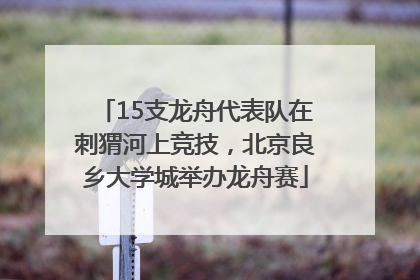 15支龙舟代表队在刺猬河上竞技，北京良乡大学城举办龙舟赛