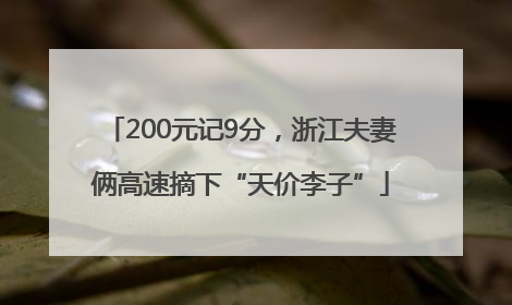 200元记9分，浙江夫妻俩高速摘下“天价李子”