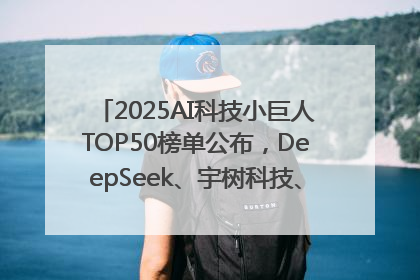 2025AI科技小巨人TOP50榜单公布，DeepSeek、宇树科技、蘑菇车联等企业荣誉上榜