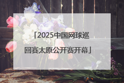 2025中国网球巡回赛太原公开赛开幕