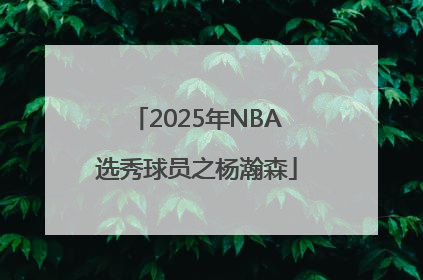 2025年NBA选秀球员之杨瀚森