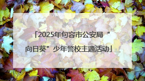 2025年句容市公安局“向日葵”少年警校主题活动