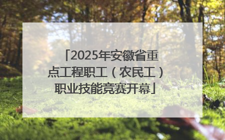 2025年安徽省重点工程职工（农民工）职业技能竞赛开幕