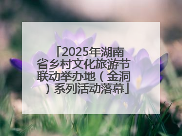 2025年湖南省乡村文化旅游节联动举办地（金洞）系列活动落幕