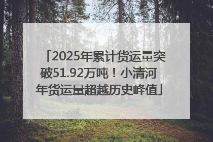 2025年累计货运量突破51.92万吨！小清河年货运量超越历史峰值