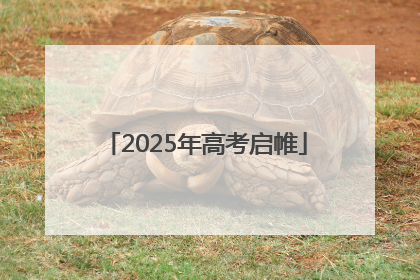 2025年高考启帷
