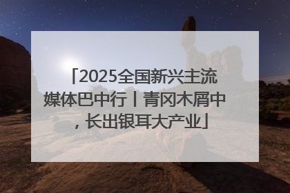 2025全国新兴主流媒体巴中行丨青冈木屑中，长出银耳大产业