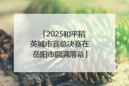 2025和平精英城市赛总决赛在岳阳市圆满落幕