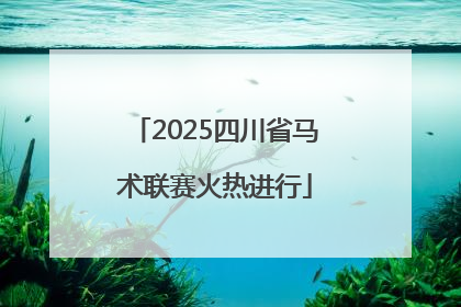 2025四川省马术联赛火热进行