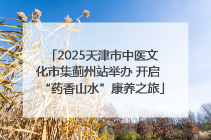 2025天津市中医文化市集蓟州站举办 开启“药香山水”康养之旅