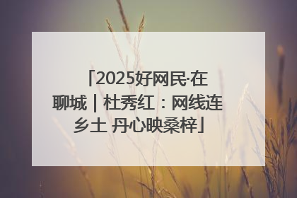 2025好网民·在聊城｜杜秀红：网线连乡土 丹心映桑梓