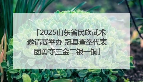 2025山东省民族武术邀请赛举办 冠县查拳代表团勇夺三金二银一铜