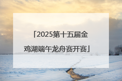 2025第十五届金鸡湖端午龙舟赛开赛