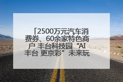 2500万元汽车消费券、60余家特色商户 丰台科技园“AI丰台 更京彩”未来玩家市集活动正式开幕