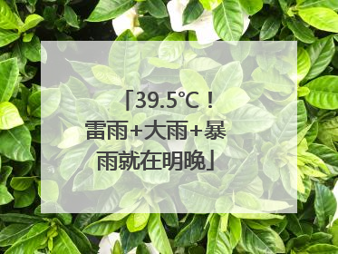 39.5℃！雷雨+大雨+暴雨就在明晚
