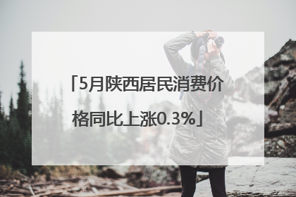 5月陕西居民消费价格同比上涨0.3%