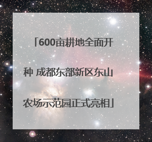 600亩耕地全面开种 成都东部新区东山农场示范园正式亮相