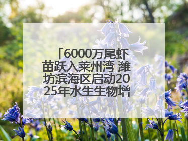 6000万尾虾苗跃入莱州湾 潍坊滨海区启动2025年水生生物增殖放流工作