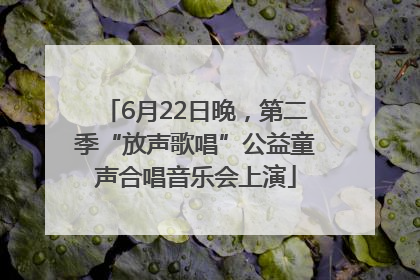 6月22日晚，第二季“放声歌唱”公益童声合唱音乐会上演
