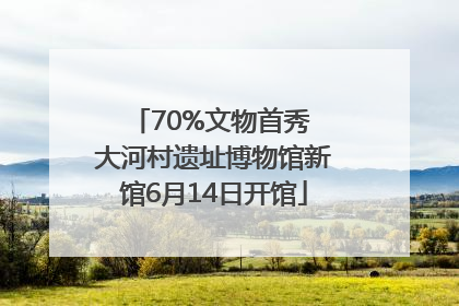 70%文物首秀 大河村遗址博物馆新馆6月14日开馆