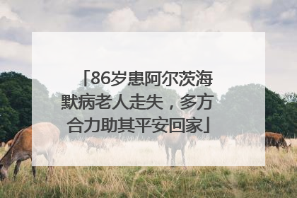 86岁患阿尔茨海默病老人走失，多方合力助其平安回家