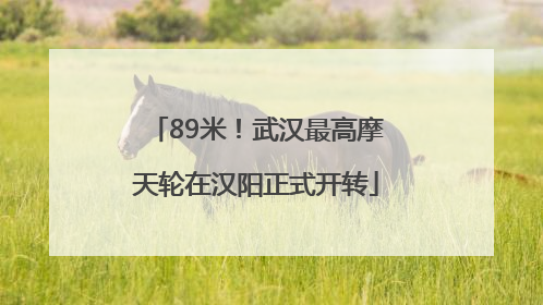 89米！武汉最高摩天轮在汉阳正式开转