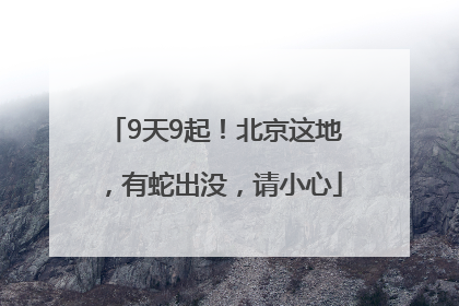 9天9起！北京这地，有蛇出没，请小心