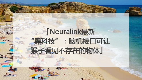 Neuralink最新“黑科技”：脑机接口可让猴子看见不存在的物体