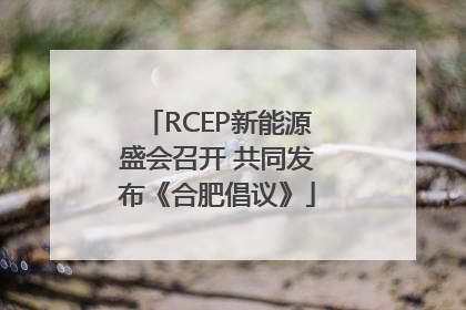 RCEP新能源盛会召开 共同发布《合肥倡议》