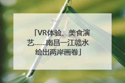 VR体验、美食演艺……南昌一江赣水绘出两岸画卷