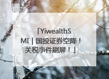 YiwealthSMI｜国投证券空降！关税事件刷屏！