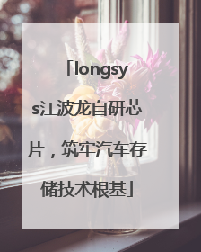 longsys江波龙自研芯片，筑牢汽车存储技术根基